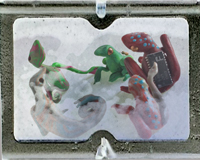 brothersjensonpresent2015